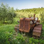 Le Ragnaie