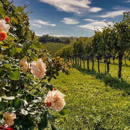 Le Ragnaie Gospodarstwo agroturystyczne Montalcino