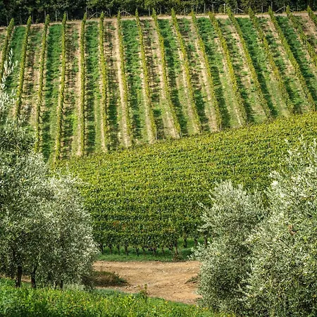 Le Ragnaie Gospodarstwo agroturystyczne Montalcino