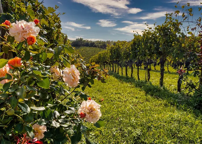 Le Ragnaie Alojamento de Turismo Rural Montalcino