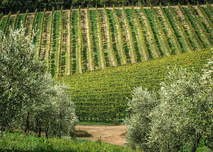 Le Ragnaie Alojamento de Turismo Rural Montalcino
