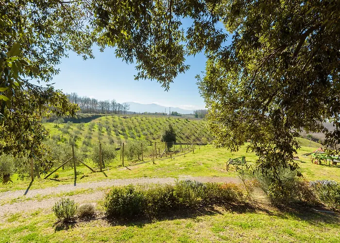 Alojamento de Turismo Rural Le Ragnaie Montalcino
